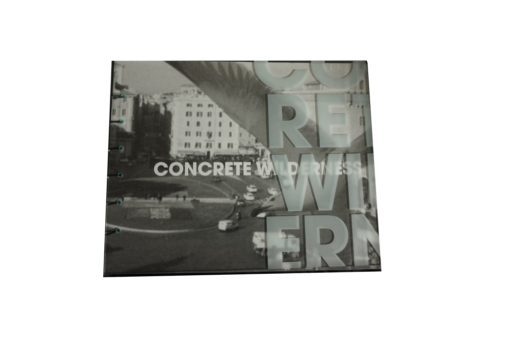 Concrete Wilderness acrylic book cover cutout
